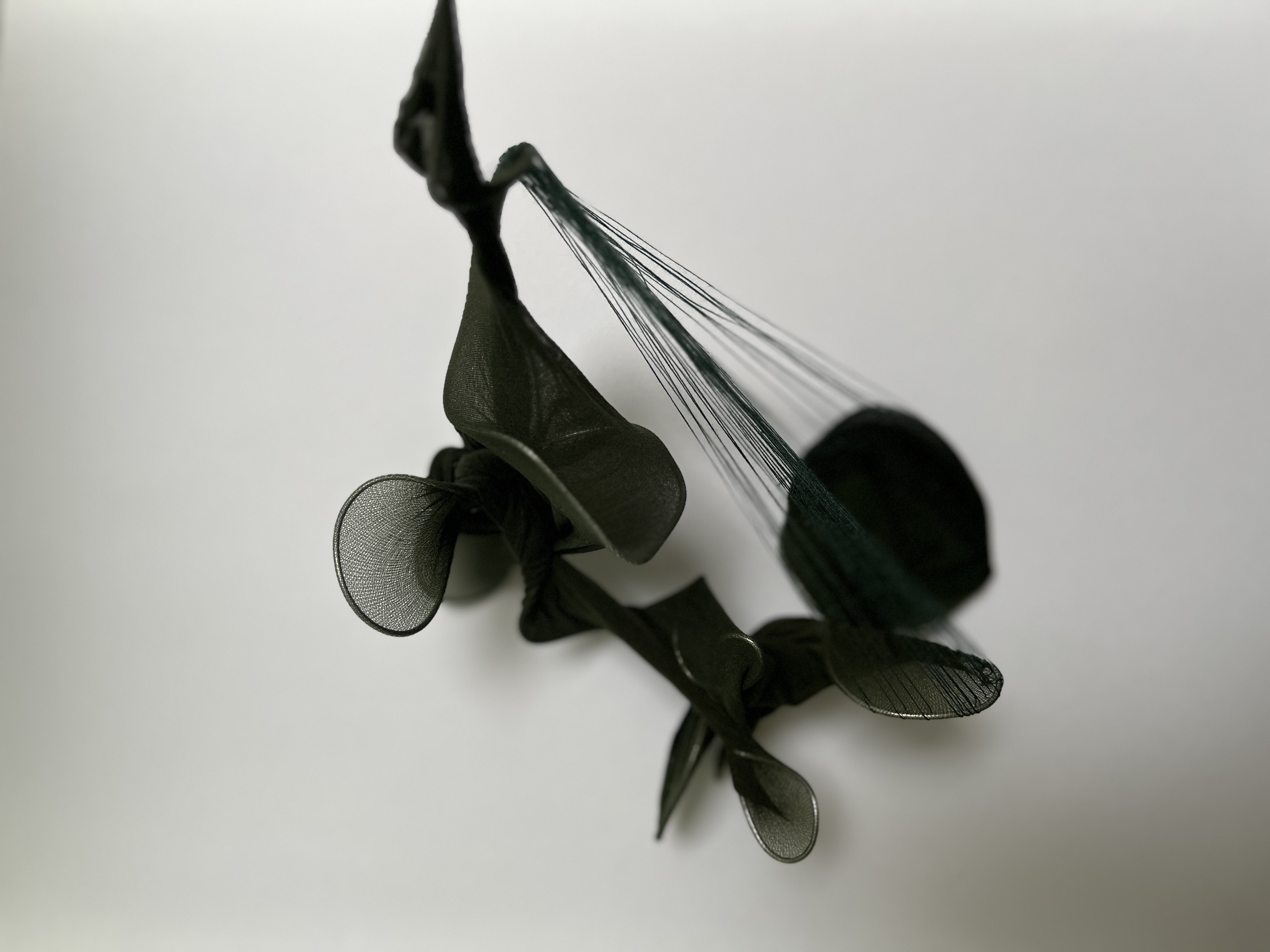 Impulse aus den Fortbildungen